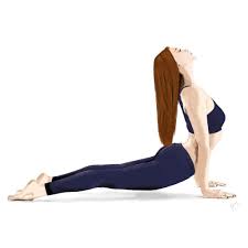 Upward Facing Dog Upward Facing Dog Dog Illustration Dogs