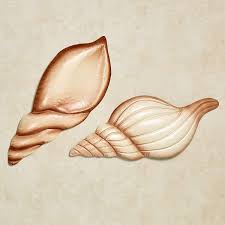 See the hand picked selection of ceramic barnacle sculptures and functional work by meghan bergman. Amazon Com Seashell Metal Wall Art Sea Shells Brown Ivory Beach Coastal Home Decor Set Of 2 Home Kitchen