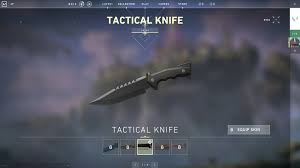 We offer the widest choice of models and skins and exclusive customization with stattrak and nametag.we are also the only ones to offer unsharpened versions of our knives. Weapons And Stats Valorant Shacknews