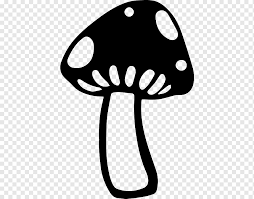 Disebut jamur tiram karena bentuk tajuknya menyerupai kulit tiram. Cloud Jamur Jamur Jamur Umum Jamur Awan Jamur Cloud Amanita Muscaria Png Pngwing