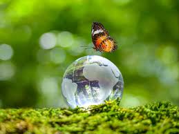 Obviously, we can't shop our way out of many of the planet's most challenging environmental situations but, by being. Xfdx6frwrh Qtm