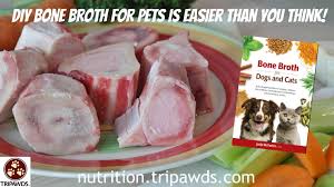 I never make it during the summer, because it's just too hot. These Bone Broth For Pets Recipes Are Tasty Tripawds Nutrition