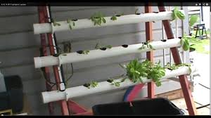 6 15 14 Nft Hydroponic System Youtube