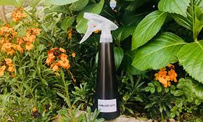 Cam silme suyuna ne konulur? Dogal Camasir Suyu Nasil Yapilir Kimyasalsiz Dogalyasamlar Com