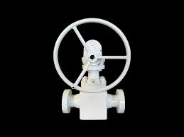 Globe Valve