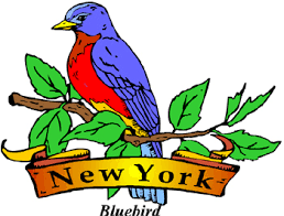 If you fail, then bless your heart. New York S Central Park Trivia Quiz Game And Fun Facts New York City