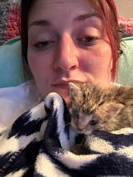 What kitten food and vet care options are available for a found kitten in  Houston?