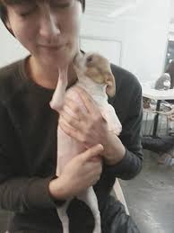 김지윤 (@rlawldbs70)