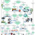 Theory Of Flow Chart Define Flowchart Symbols Concept Map In