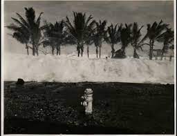 Apr 07, 2021 · a tsunami picks up and carries debris, which greatly increases the chance of injury, property destruction, and death. 1946 Tsunami Survivor Shares Her Story Geophysical Institute