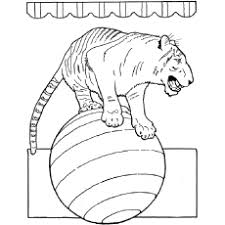 Supercoloring.com is a super fun for all ages: Top 20 Free Printable Tiger Coloring Pages Online