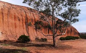 Pildappa Rock South Australia Gawler Ranges Australian Road Trip South Australia Australia