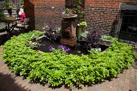 Online shopping for garden stakes from a great selection at patio, lawn & garden store. Fertilize Water And Then Slow Down Your Garden The Boston Globe