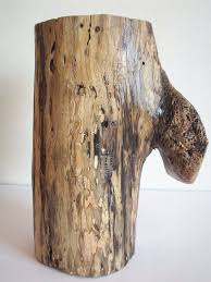Old Willow Tree Stumpwillow Logrustic Decorwood Decorwood Wood Stumps Willow Wood Wood Decor