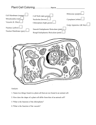Animal cells do not have cell walls because they do not need them. Plant Cell Coloring