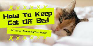 Use a cat repellant spray designed to keep cats off beds. Is Your Cat Disturbing Your Sleep How To Keep Cat Off Bed