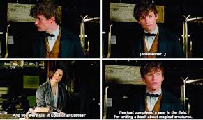 Fantastic Beasts And Where To Find Them Harry Potter Fantastic Beasts Fantastic Beasts Harry Potter Universal