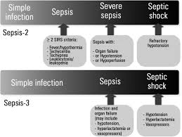 Sepsis is the consequence of widespread inflammation (swelling) in the body. Scielo Brasil Dear Sepsis 3 We Are Sorry To Say That We Don T Like You Dear Sepsis 3 We Are Sorry To Say That We Don T Like You