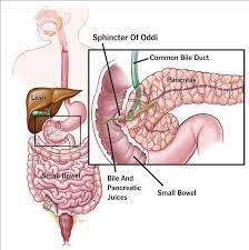 Gastrointestinal Liver Pancreatic Treatment Diagnosis Dr Husain Bohari