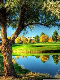 Check spelling or type a new query. Landscape Phone Wallpapers Top Free Landscape Phone Backgrounds Wallpaperaccess