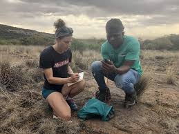 Image result for Microchloa afra