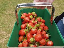 The 10 Closest Hotels To Gravely Fruit Farm Graveley Tripadvisor