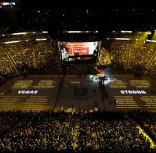 Jonathan marchessault proves to be a catalyst. Nhl Die Las Vegas Golden Knights Und Das Eishockey Marchen Aus Der Wuste Welt