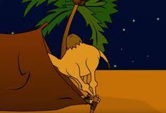 Can we go to a ___? 24 Camels Nose Ideas Camels Nose Camels Illustration