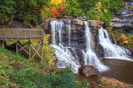 We did not find results for: Blackwater Falls State Park Photograph By Mary Almond