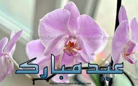 Free Latest New E Card Eid Ul Adha Mubarak Flower Wallpaper Urdu Text Top Hd Wallpapers Orchids Flowers Trees To Plant
