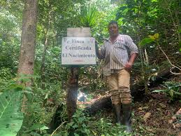 Check spelling or type a new query. Balthazar Cabrera Finca El Canal And El Nacimiento