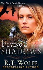 Flying in Shadows (February 2013)