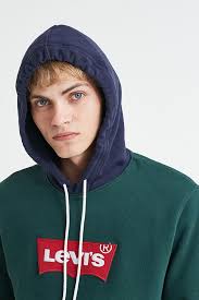 Levi's Pine Two-Tone Hoodie