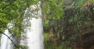 Terletak di kecamatan sedong sekitar 26 km dari arah pusat kota sumber, dengan luas lahan 62,5 ha. Curug Sodong Air Terjun Elok Nan Mistis Di Sukabumi Tempat Me
