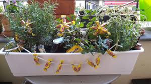 Krautergarten Diy Geschenk Mit Bildern Geschenke Zum 40 Geschenke Diy Geschenk