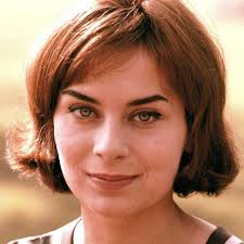 Watch The Cousins (1959) Full Movie Free Online