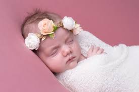 Newborn Photos Central Coast