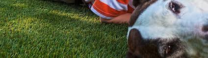 The best artificial grass for dogs. How To Clean Artificial Dog Grass Simple Green