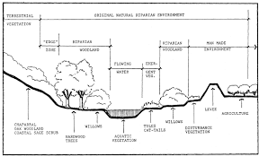 California Riparian Systems