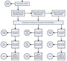 Soil Texture Testing Two Easy Methods