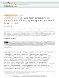 long term carbon sink