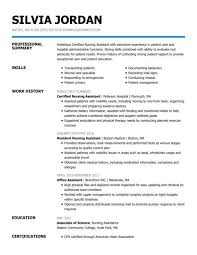 Jobs • may 3, 2012 • 0 comments. Professional Nursing Resume Examples For 2021 Livecareer