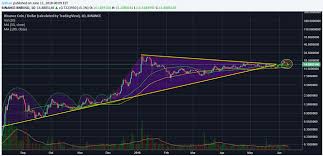 Rising Binance Coin Bnb Price Amidst Crypto Bloodbath