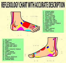 Foot Reflexology Chart Or Acupuncture Stock Vector Ixies