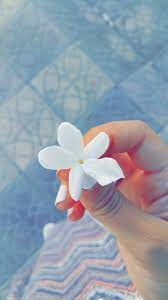 انت مرات الع مر ومرات ما بعرفك flower wallpaper artsy photos tumblr photography