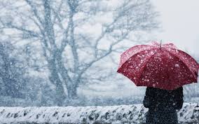 Trend Google: meteo freddo in arrivo