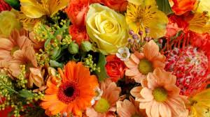 Există flori în grădina mea, există flori în parc, dar nimic nu este mai frumos decât atunci când buzele noastre se întâlnesc în întuneric! Vlvxduujskgvrm