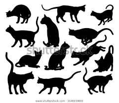 Shutterstock Koleksiyonunda Hd Kalitesinde Cat Silhouettes Pet Animals Graphics Set Temali Stok Gorseller Ve Milyonlarca Bas Silhouettes Black Cat Sanat Hayvan