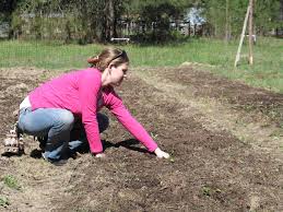 I'm trying to make a procedure that turns dirt into grass if y+1 has air, and grass into dirt if y+1 has a block. Can I Turn Dirt Into Lawn By Spring Is That Possible