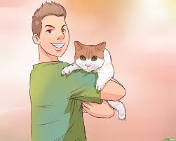 Erfahren sie hier, wann der richtige zeitpunkt gekommen ist, wie das einschläfern abläuft und wie sie ihre katze in den letzten stunden am besten unterstützen. Herausfinden Ob Du Deine Katze Einschlafern Lassen Solltest Mit Bildern Wikihow